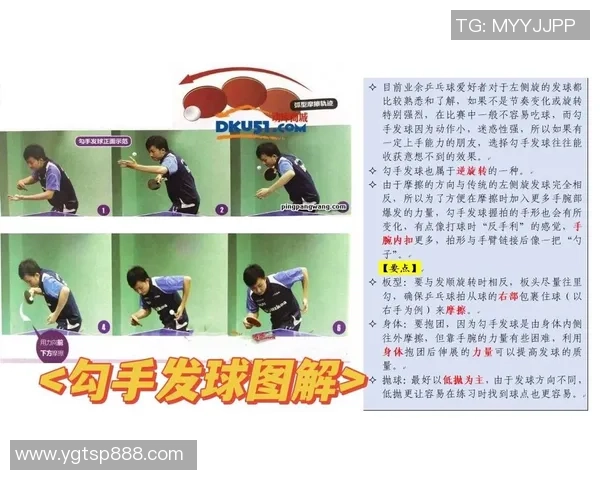 乒乓球新手必读：从零基础到高手的全面提升指南与技巧分享